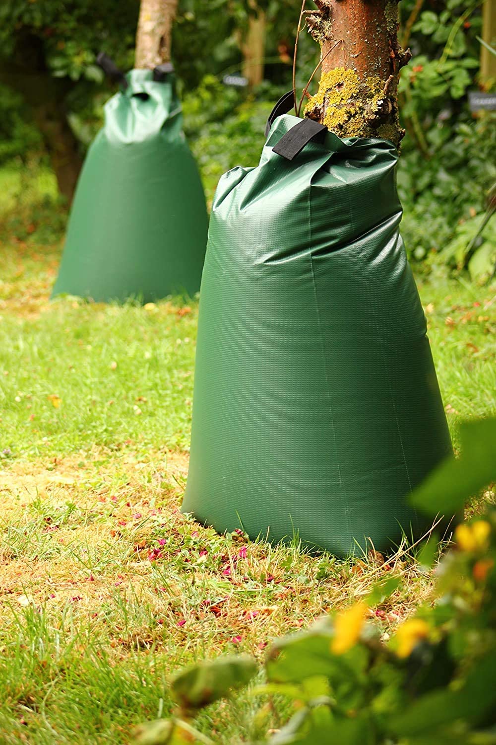 Wassersack für Bäume befüllt!